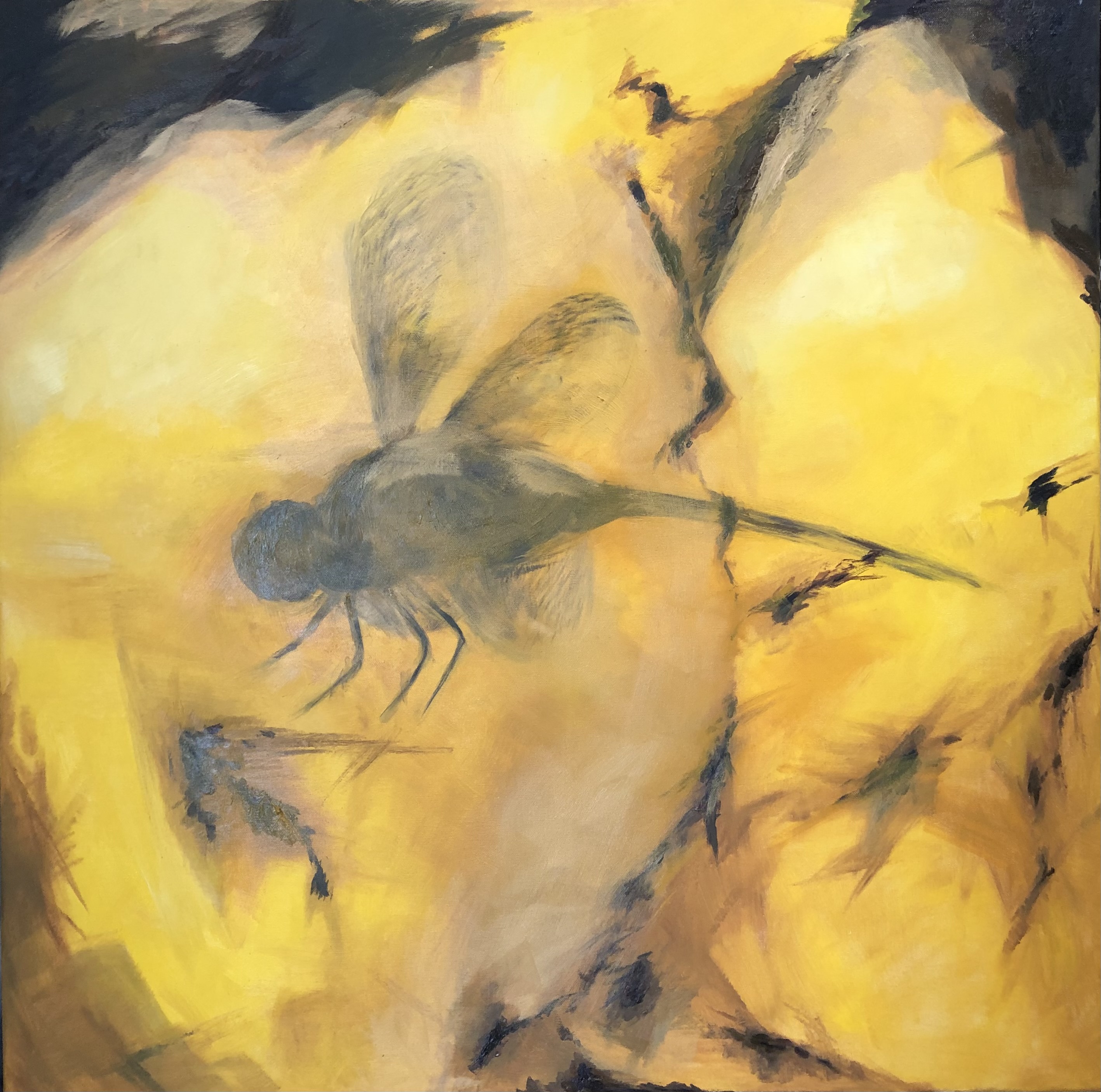 The Amber