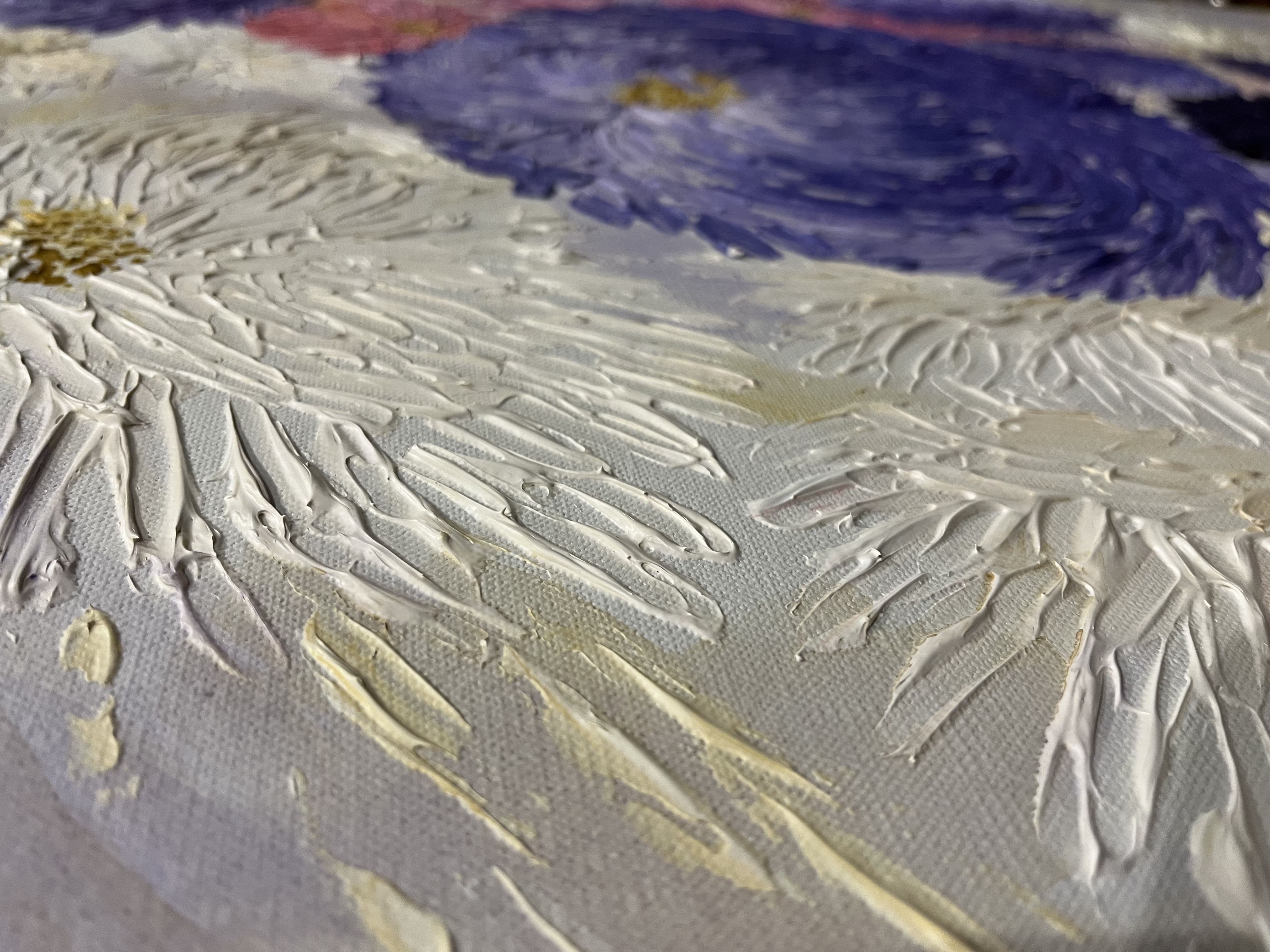 Asters - closeup