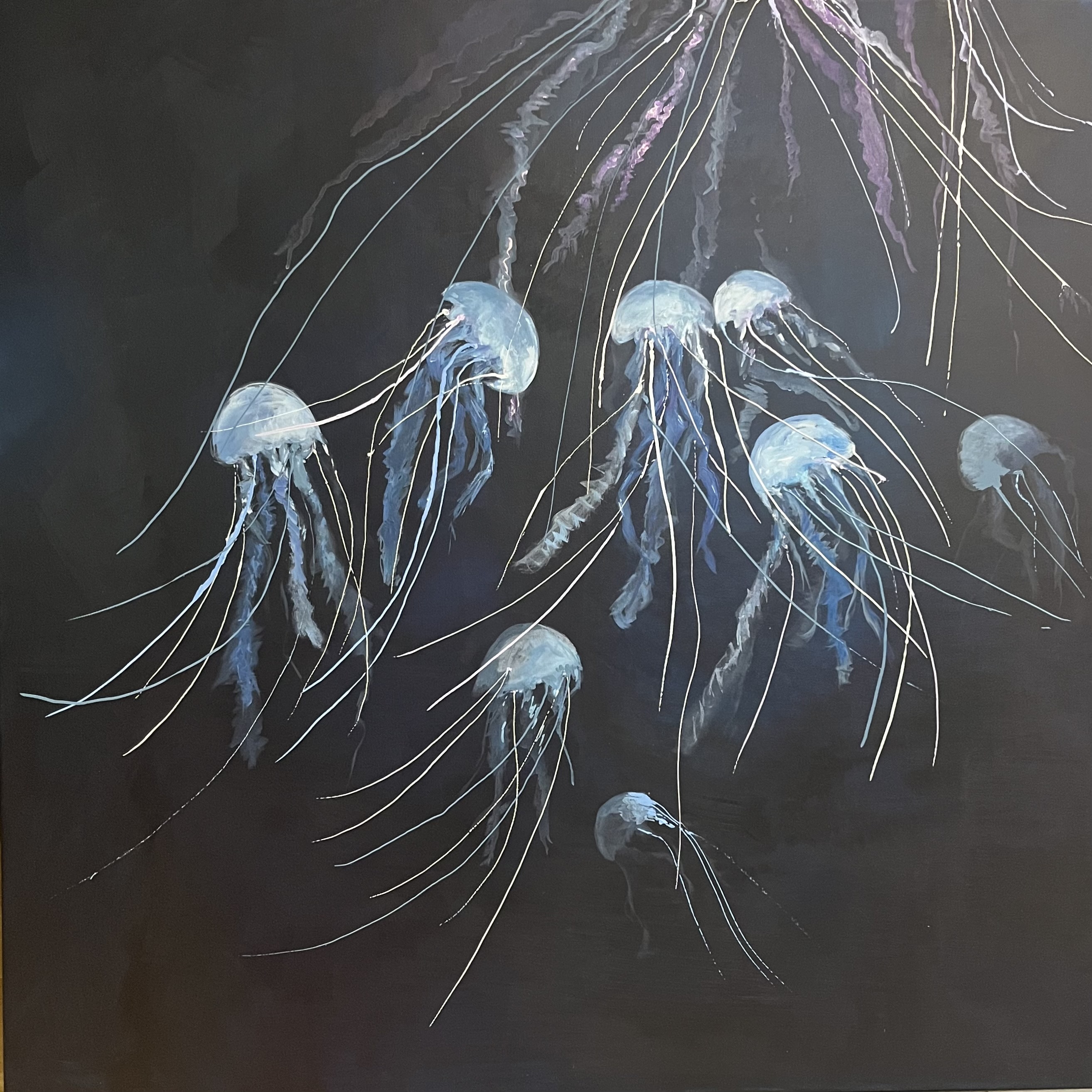 The Jellyfish 1