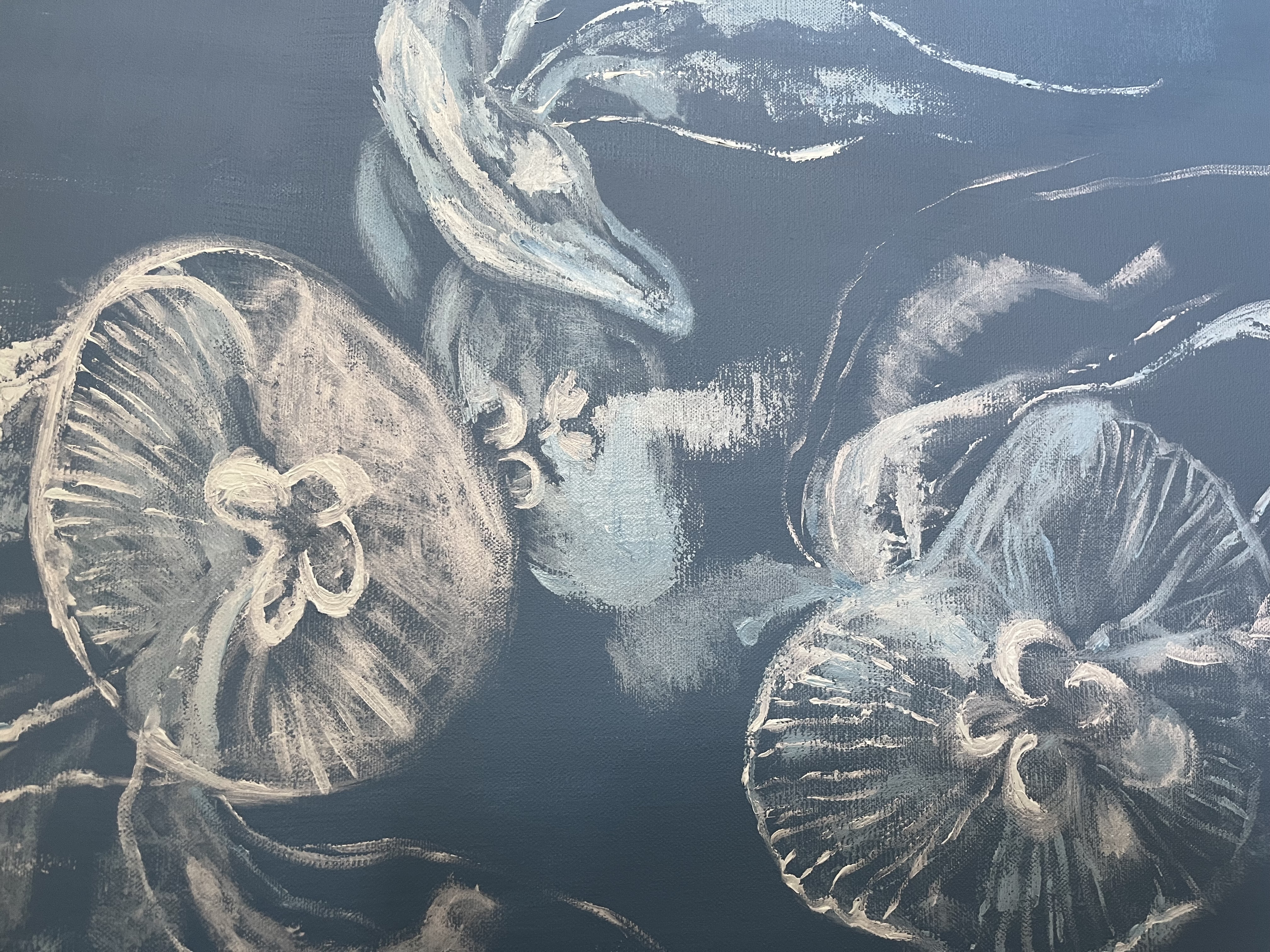 The Jellyfish 2 - closeup