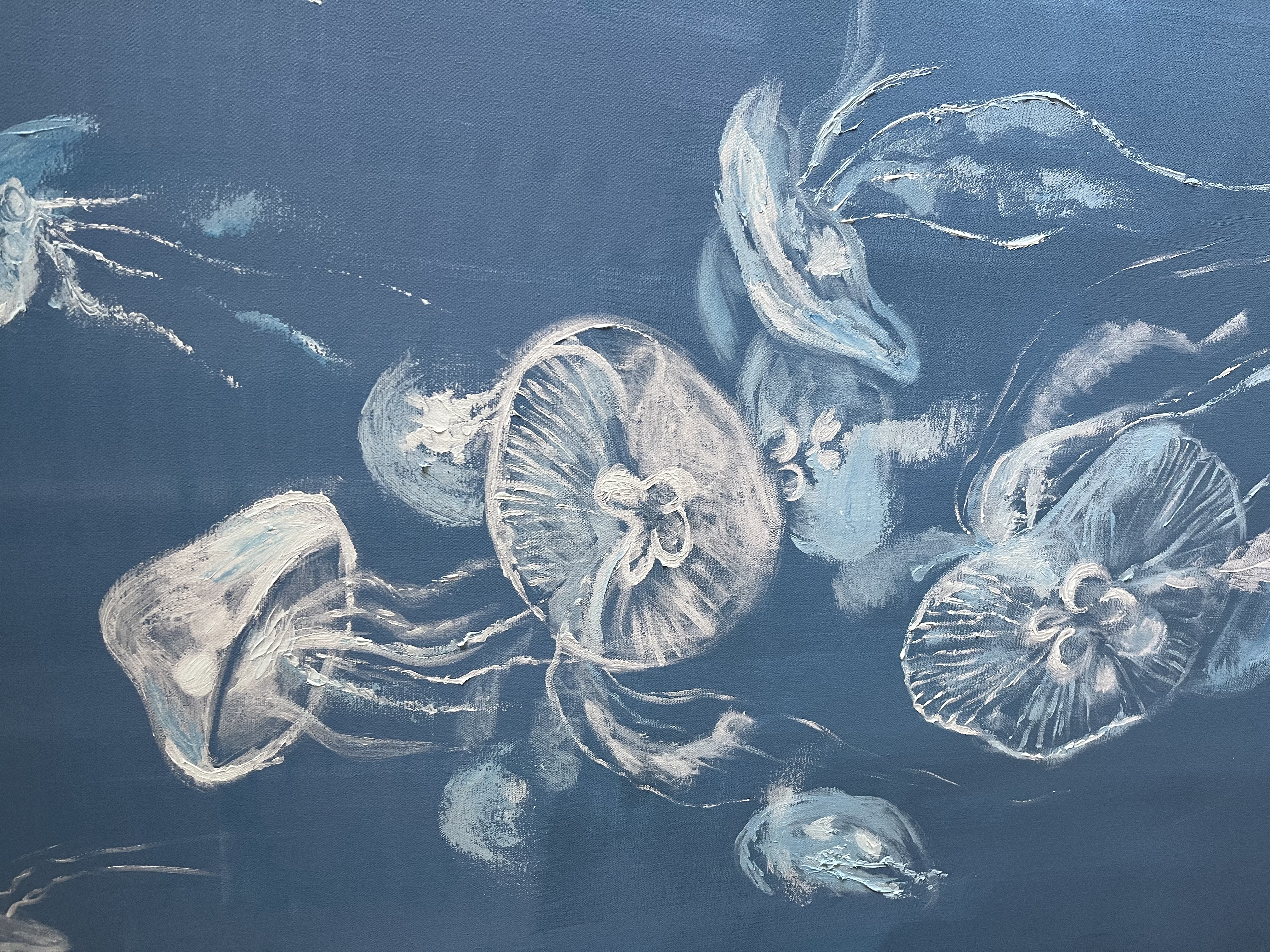 The Jellyfish 2