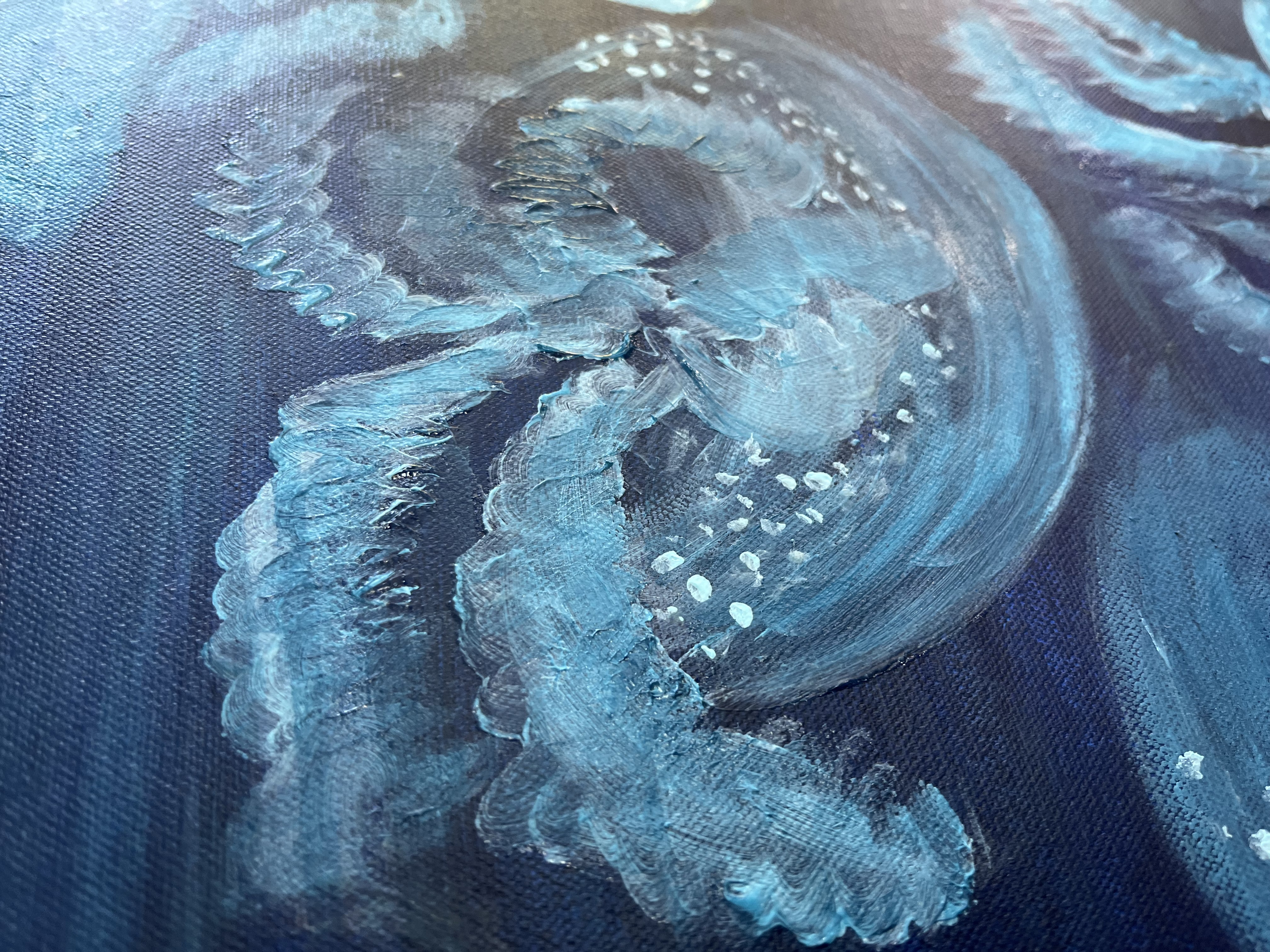 The Jellyfish Family - closeup