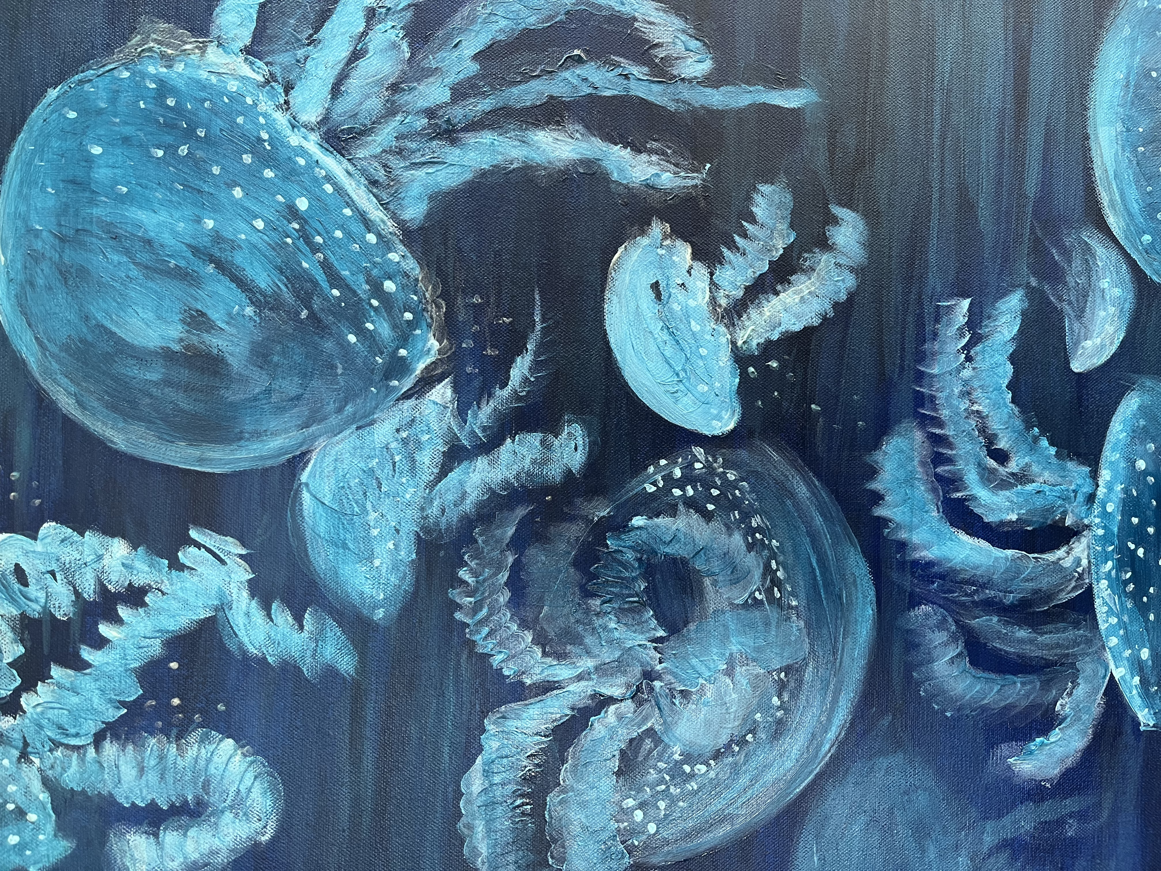 The Jellyfish Family - closeup