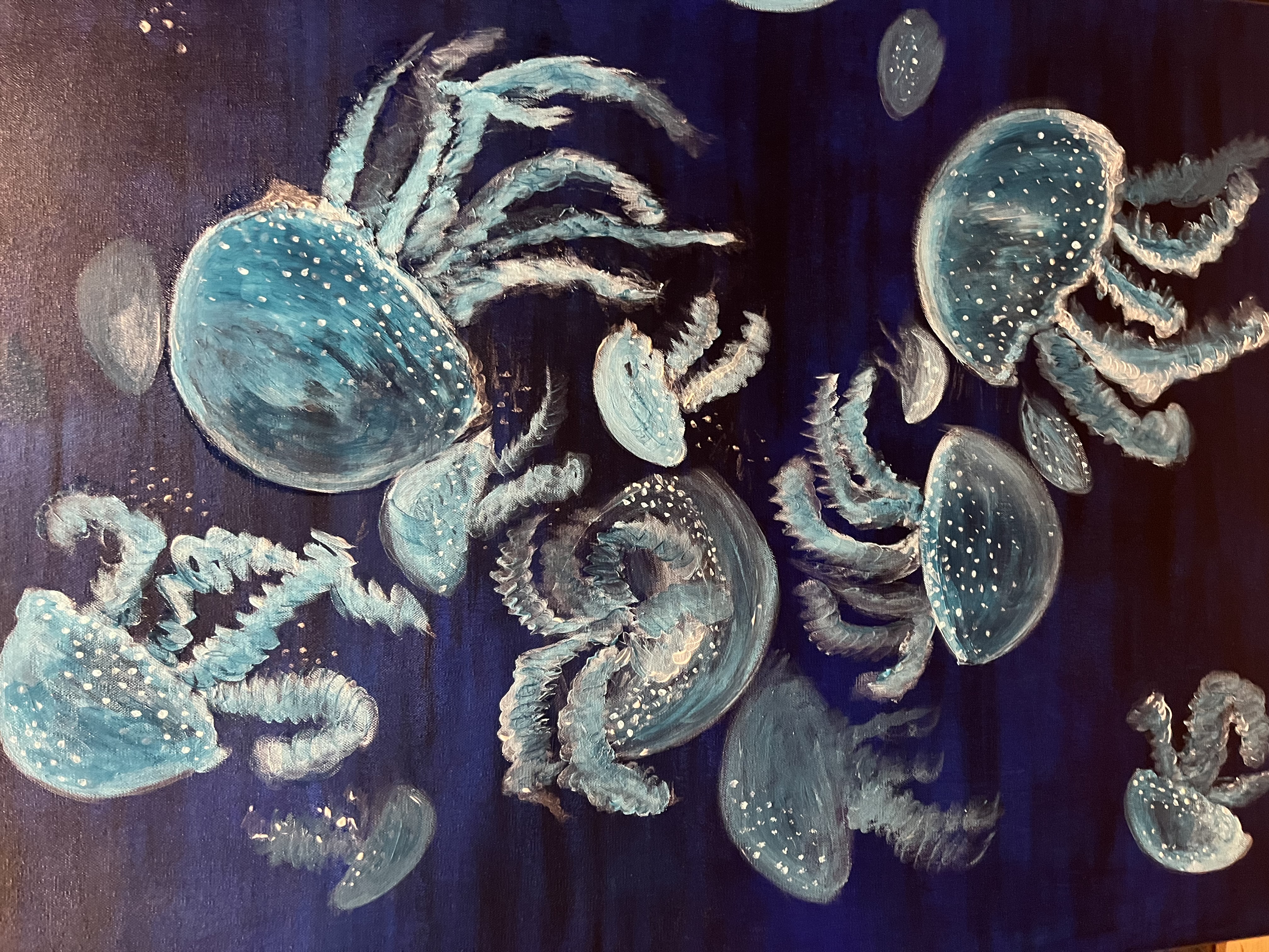 The Jellyfish Family - night view