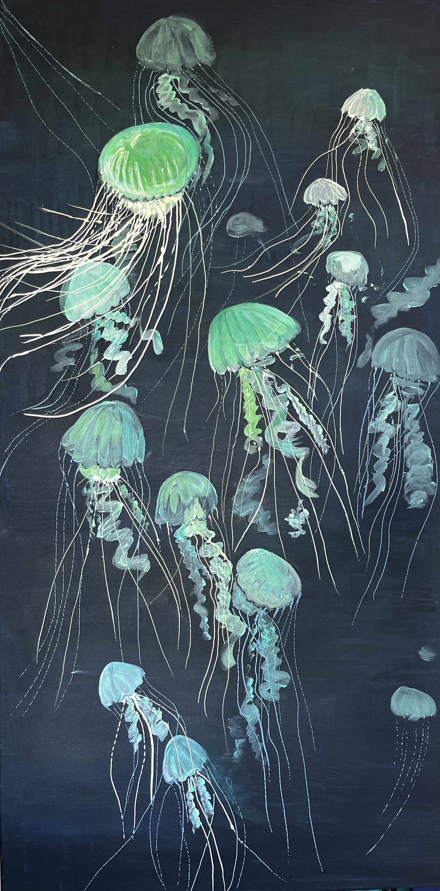The Jellyfish at night