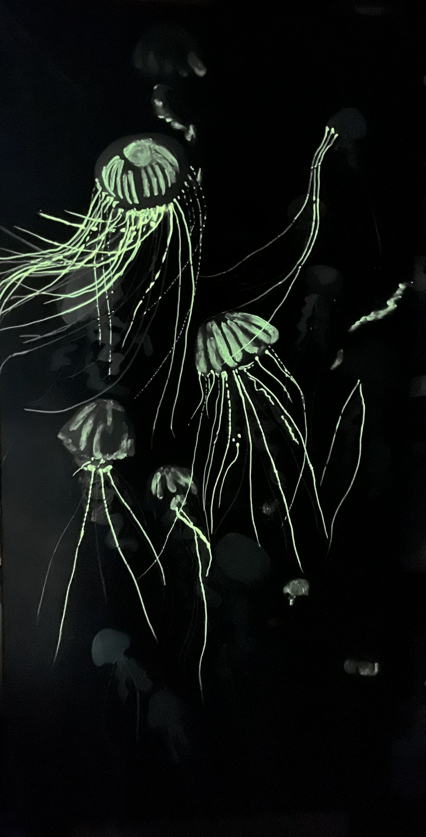 The Jellyfish at night - closeup