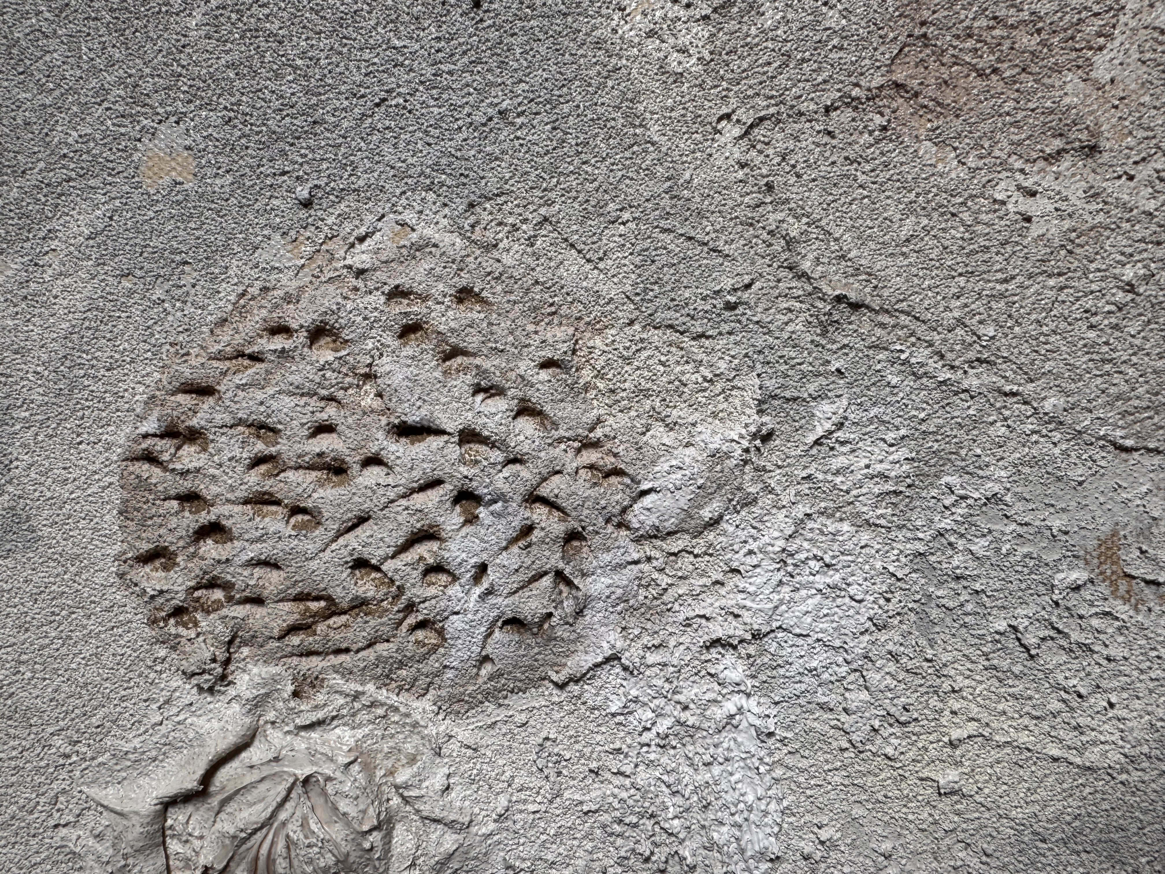 Surface of time